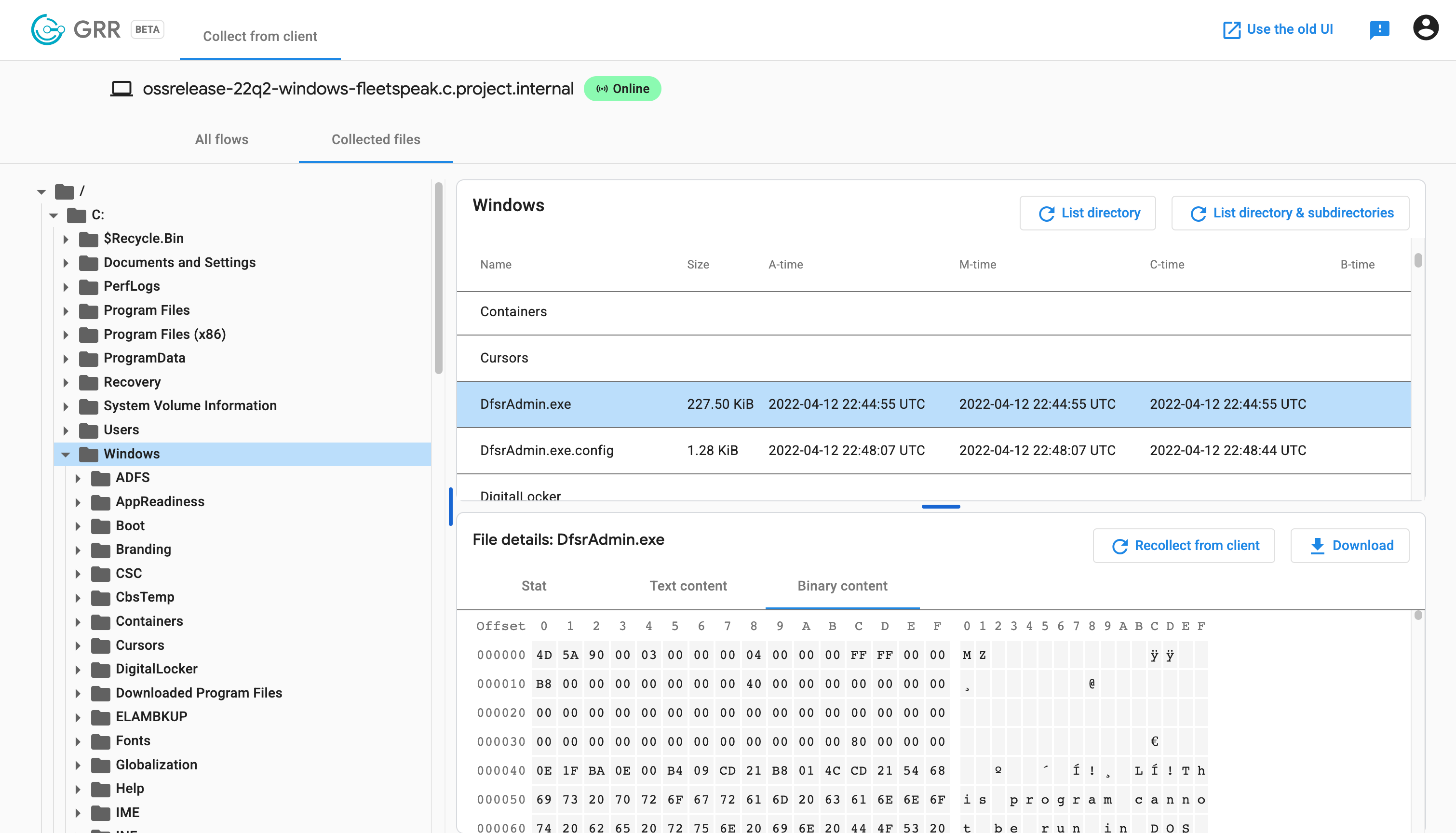 Endpoint filesystem explorer
